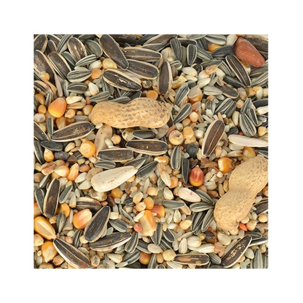 QUIK PARROT PAPAĞAN YEMİ 700 GR