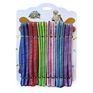 D-PETS NEON 1 CM GEZDİRME 12 Lİ KARTELA