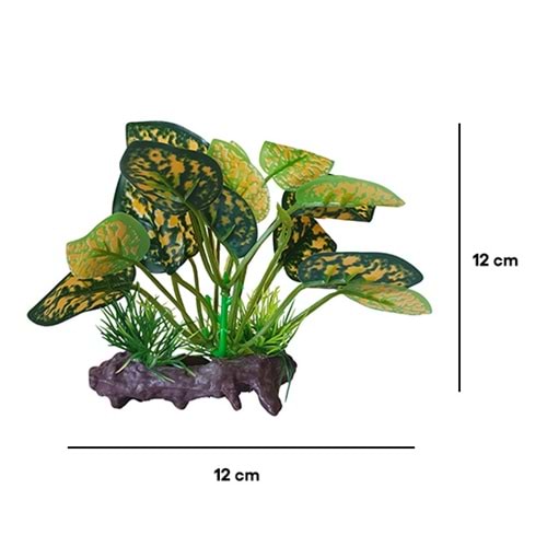 BONİSA PLASTİK BİTKİ BNS-3804 ( 12 x 12 CM )