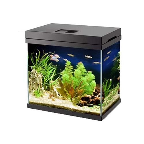 SOBO ES-280F AKVARYUM 15 LT 30x30x20 CM