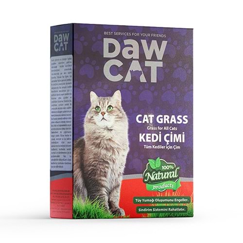 DAWCAT KEDİ ÇİMİ ( CAT GRASS )