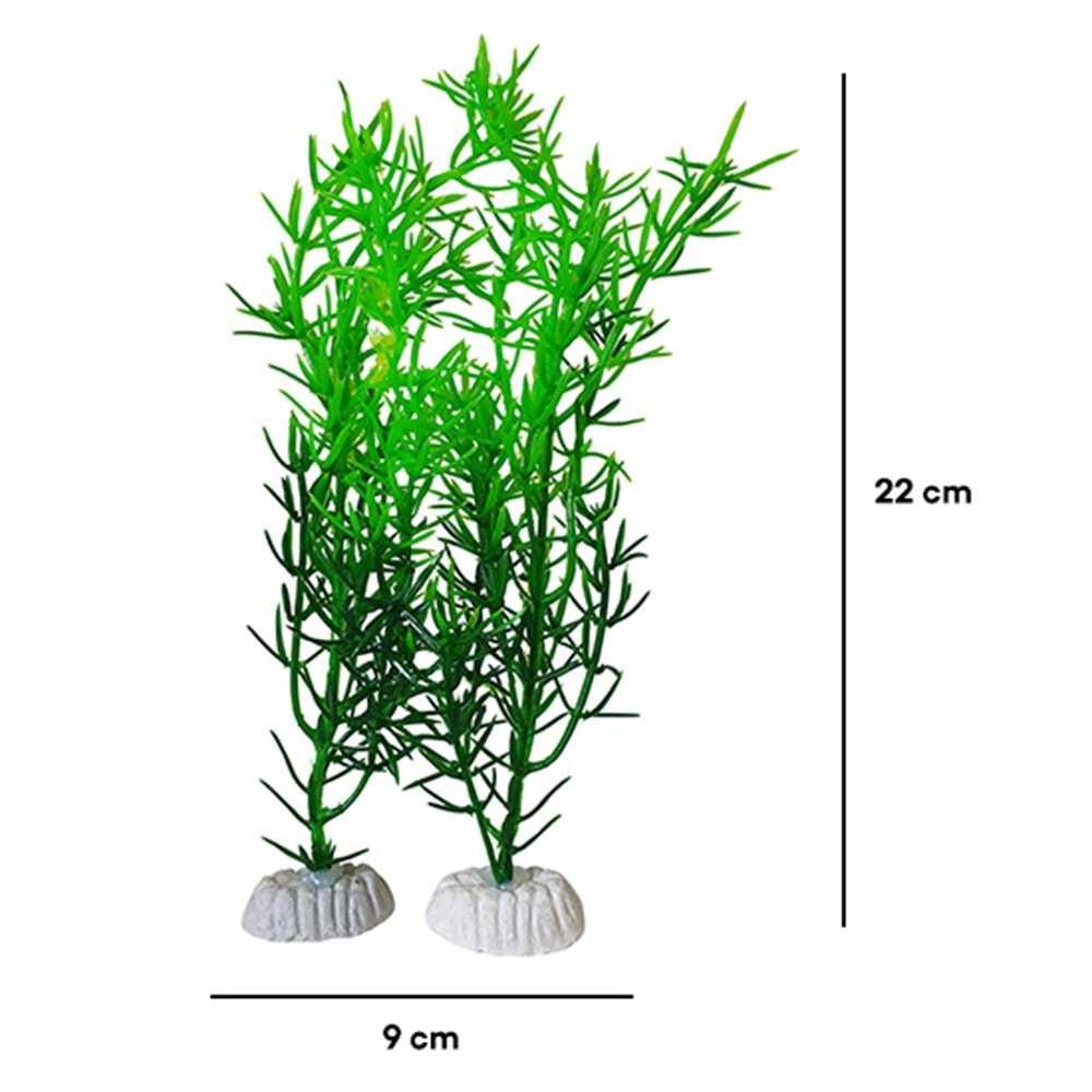 BONİSA PLASTİK BİTKİ 2 Lİ PAKET BNS-3751 ( 9 x 22 CM )