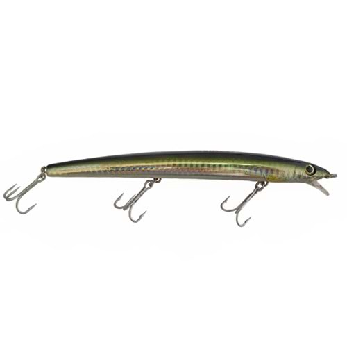 DAWLİ LURE 1881 MAKET BALIK 15,5 CM