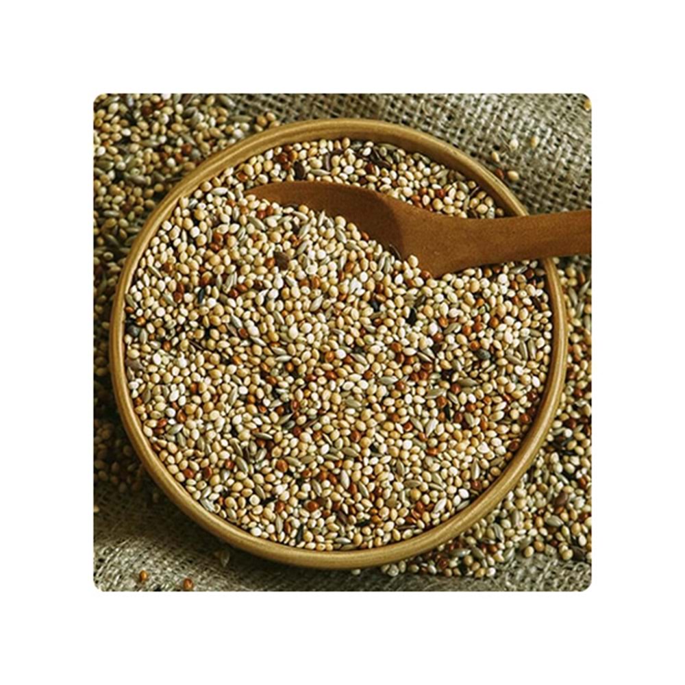 BOSSMAN M-202 EKO MUHABBET KARIŞIK