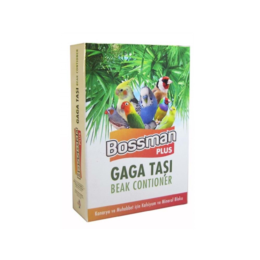 BOSSMAN PLUS GAGA TAŞI