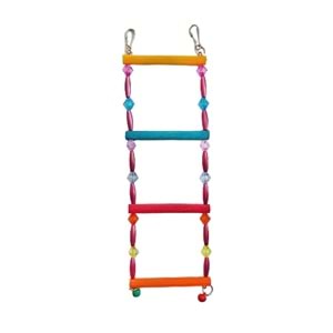 BONİSA TAŞLI MERDİVEN KUŞ OYUNCAK